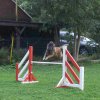 agility 2011-09